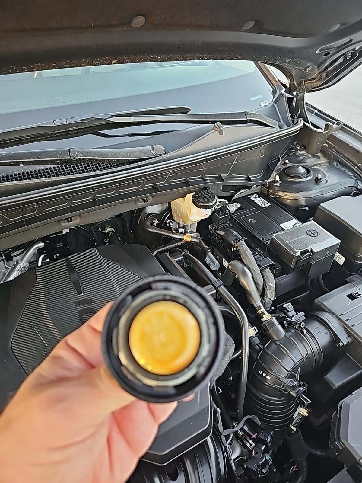 2025 Hyundai Tucson SEL FWD