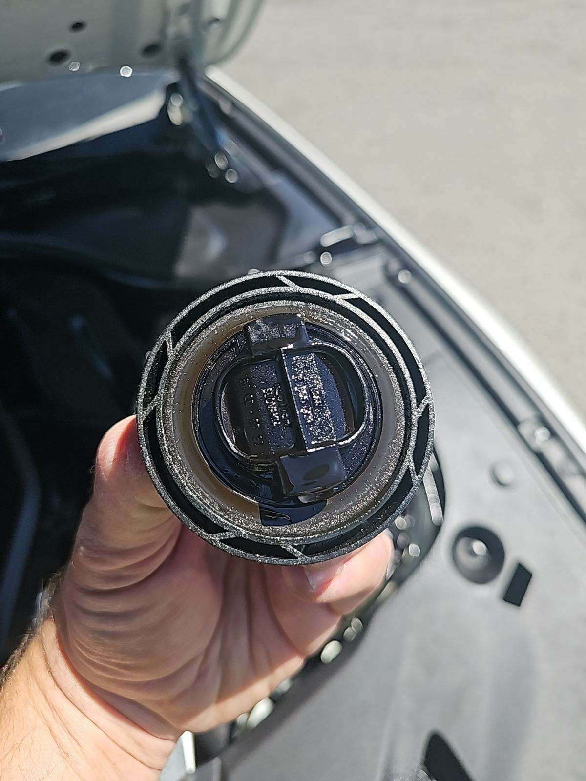 2019 BMW 5 Series 530i xDrive AWD