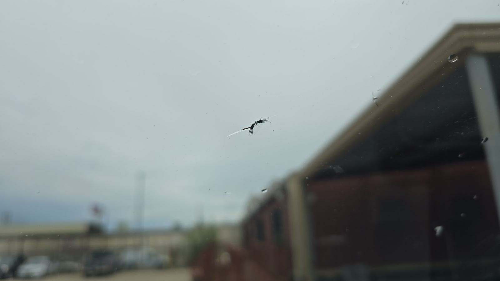 2017 Toyota Tundra 1794 Edition AWD