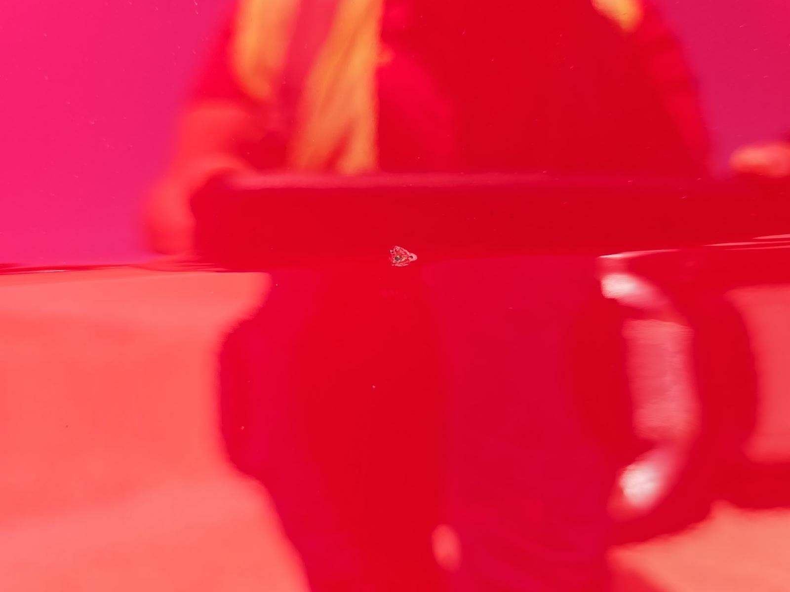 2016 Volkswagen Golf GTI Performance FWD