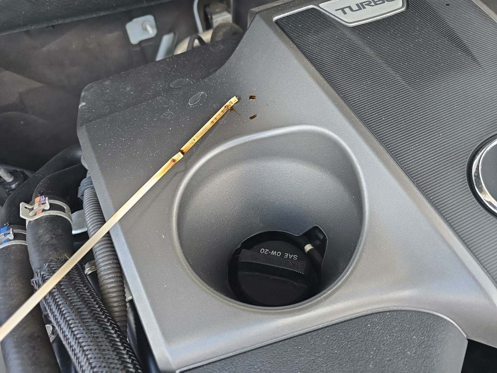 2021 Lexus NX NX 300 F SPORT FWD