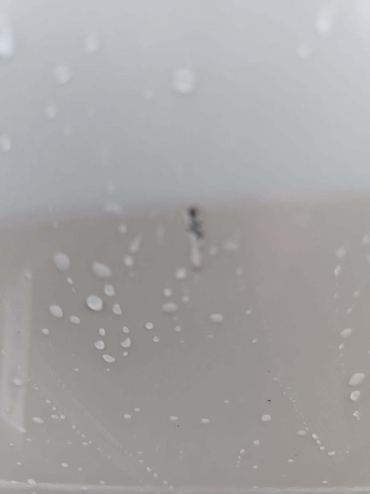 2024 Lexus GX GX 550 Premium AWD