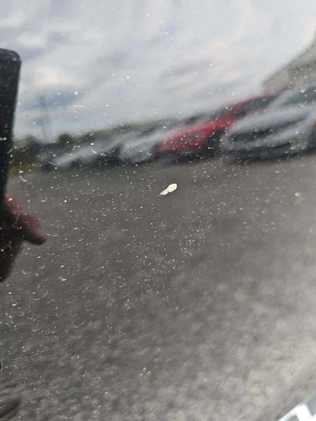 2025 BMW X7 xDrive40i AWD