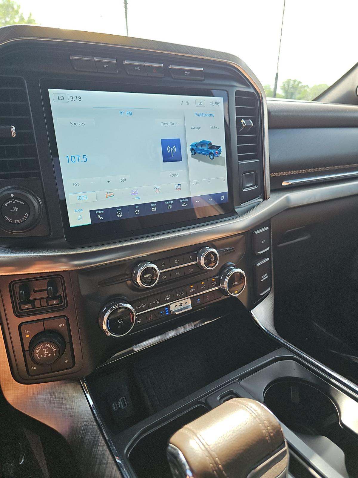 FORD F-150 - 10