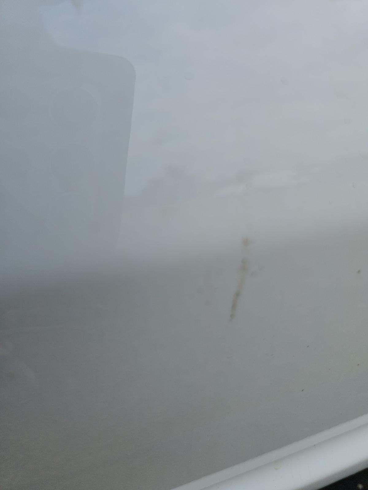 2024 Ford F-150 STX RWD