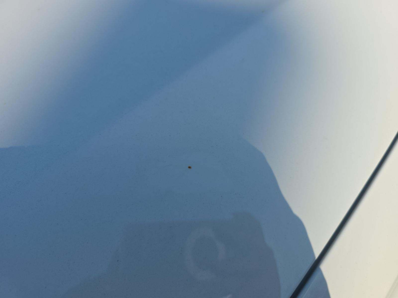 2024 Mercedes-Benz GLC AMG GLC 43 AWD