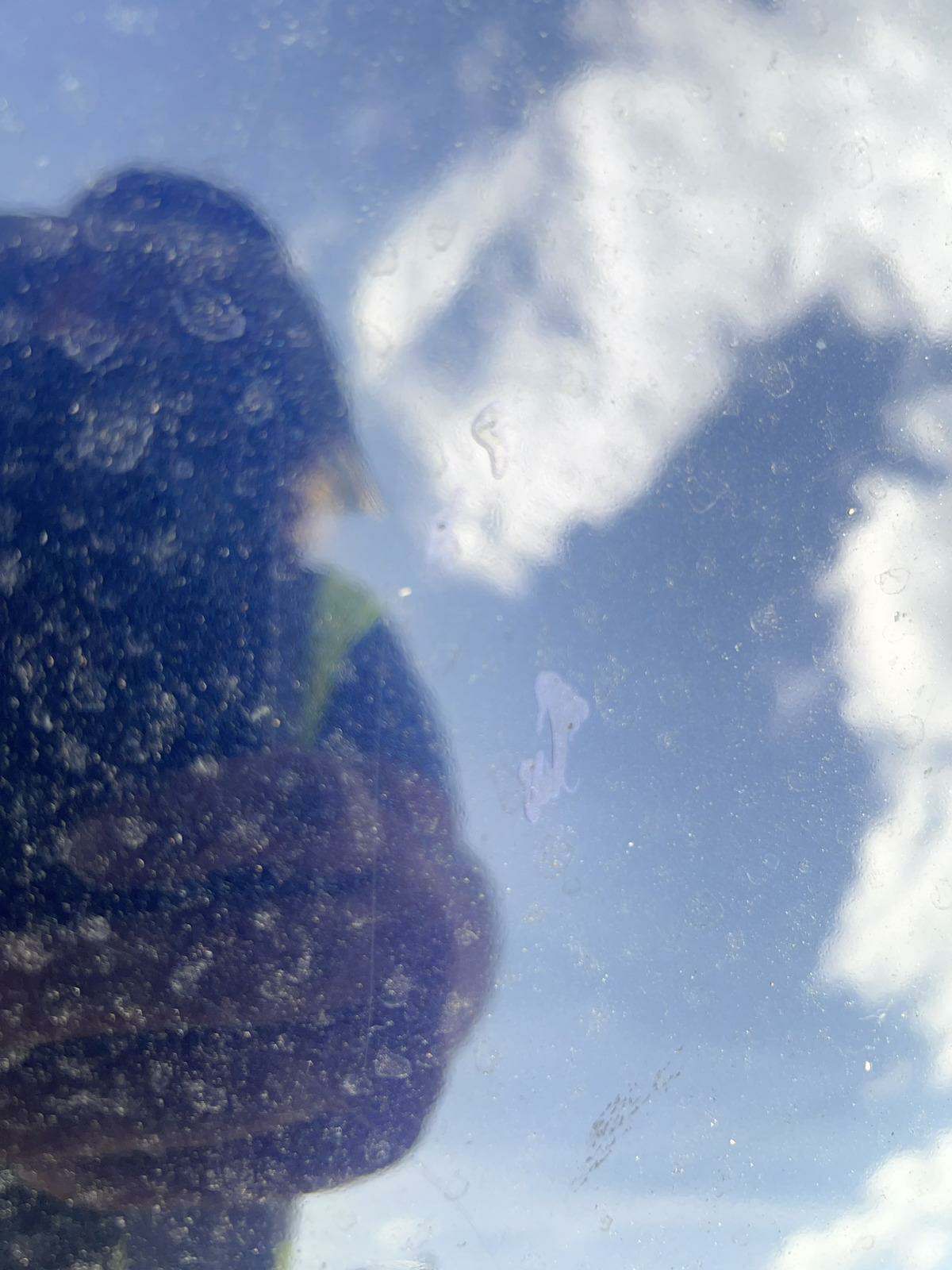 2022 Toyota Corolla LE FWD