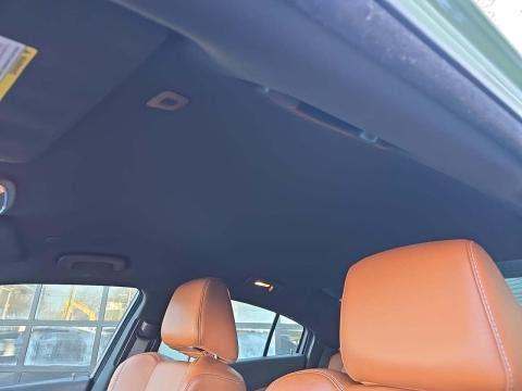 DODGE SRT HELLCAT - 7