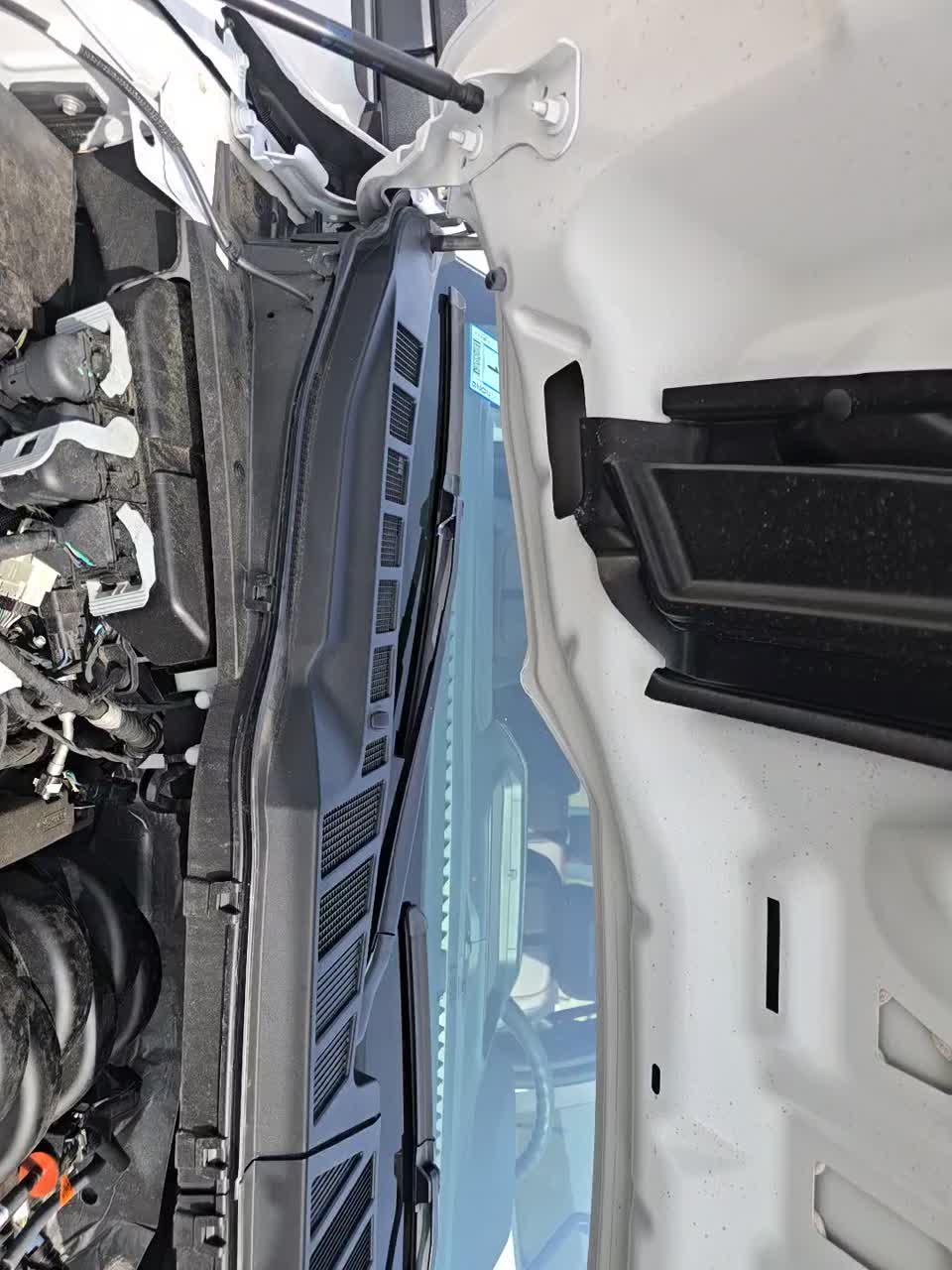 2024 Ford F-150 STX AWD