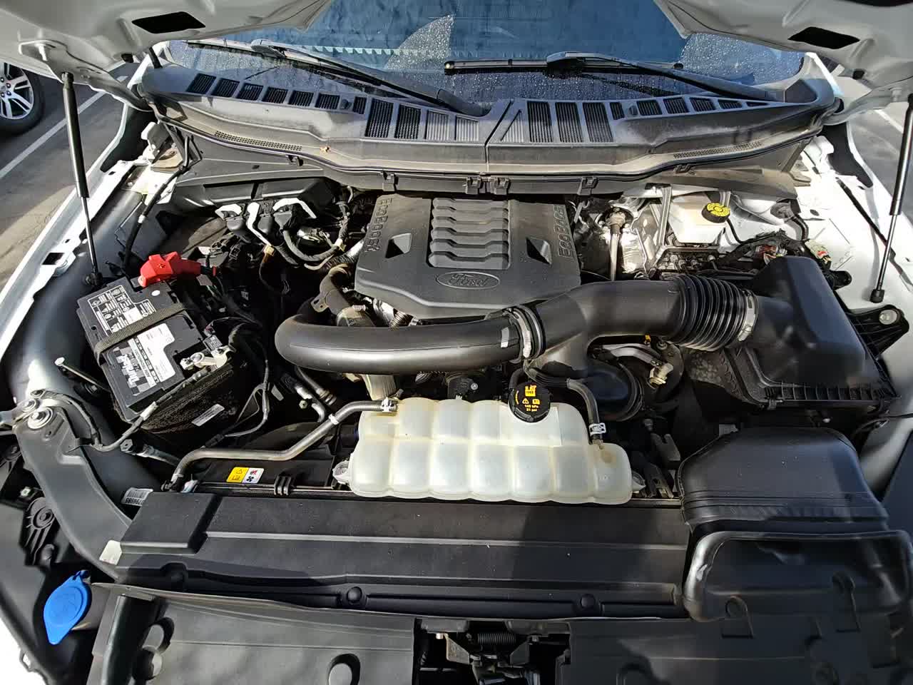 2022 Ford F-150 XLT RWD