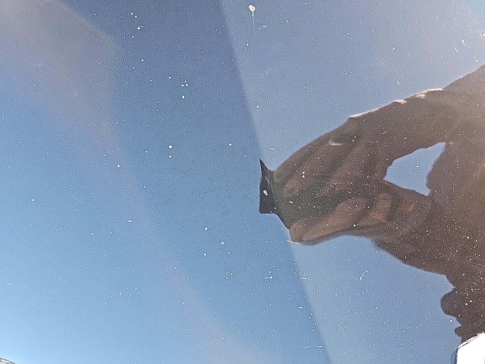 2022 Kia K5 GT-Line FWD