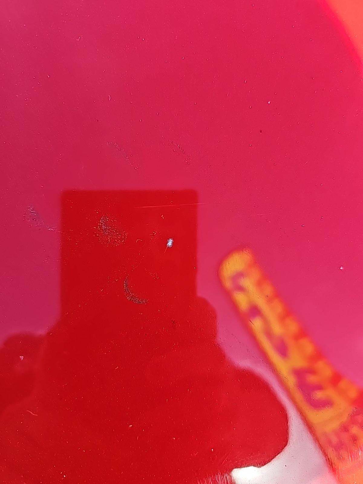 2024 Ford Mustang EcoBoost RWD