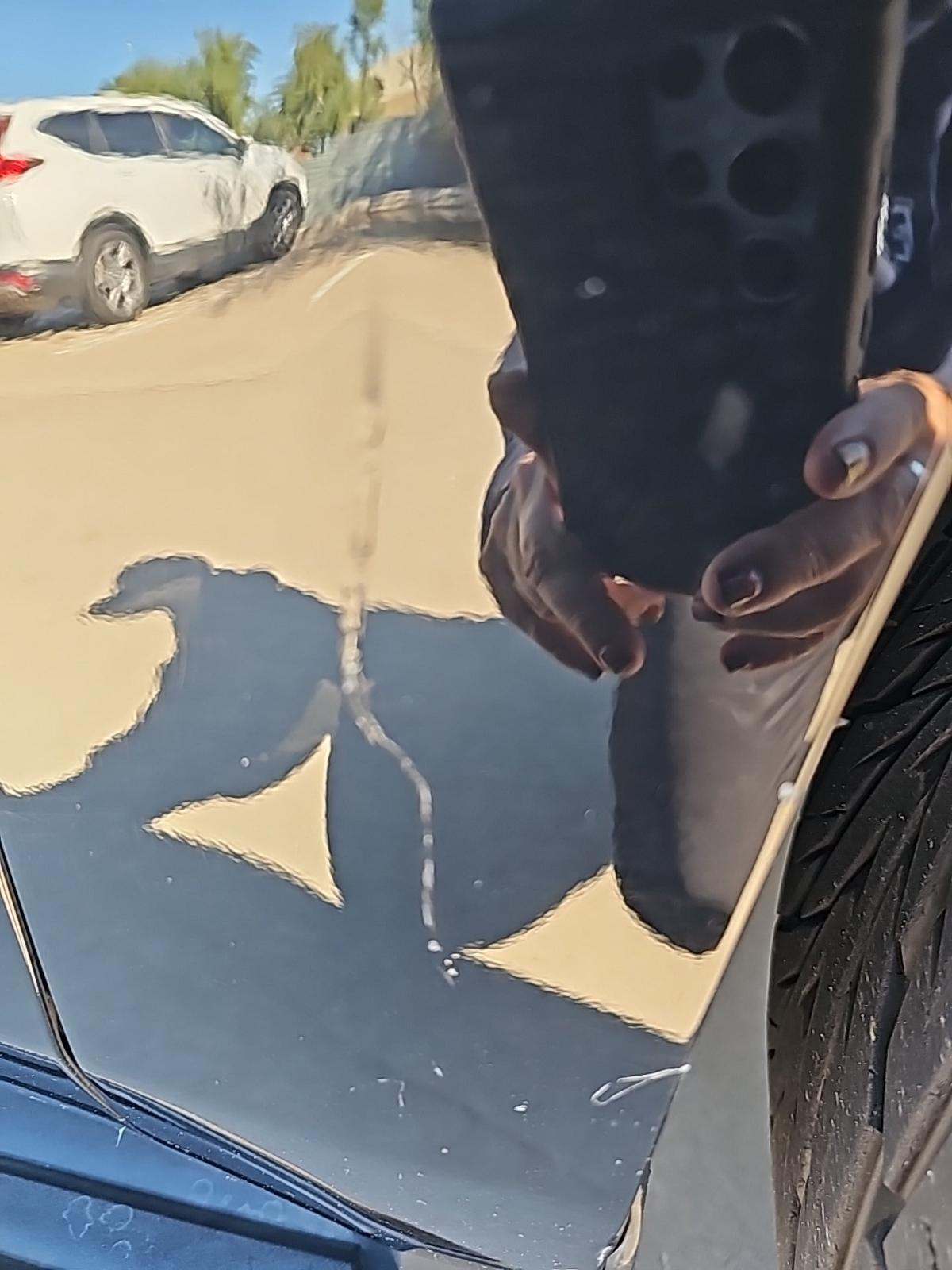 2019 Cadillac Escalade Luxury AWD