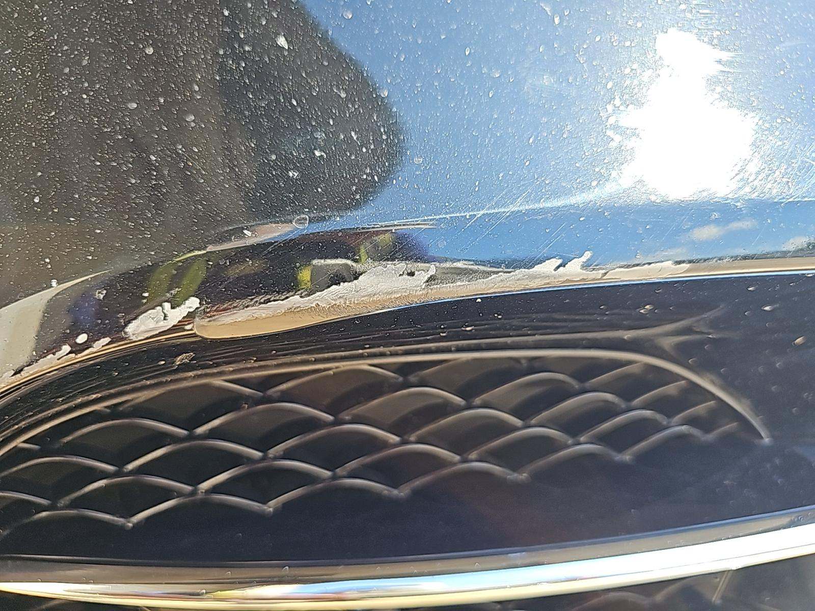 2019 Mercedes-Benz S-Class S 560 RWD