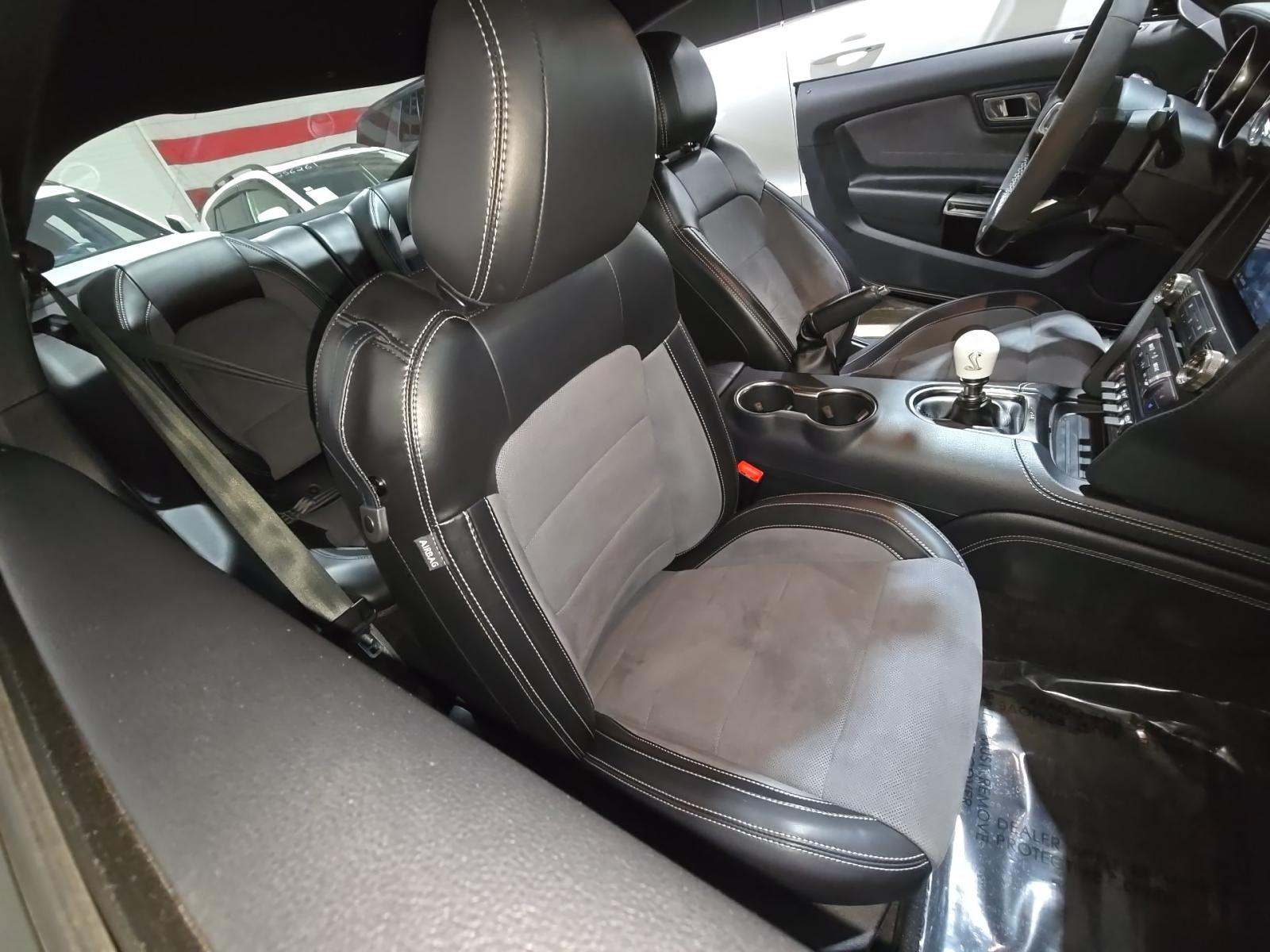 2019 Ford Mustang Shelby GT350 RWD