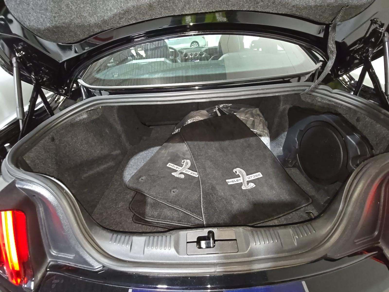 2019 Ford Mustang Shelby GT350 RWD