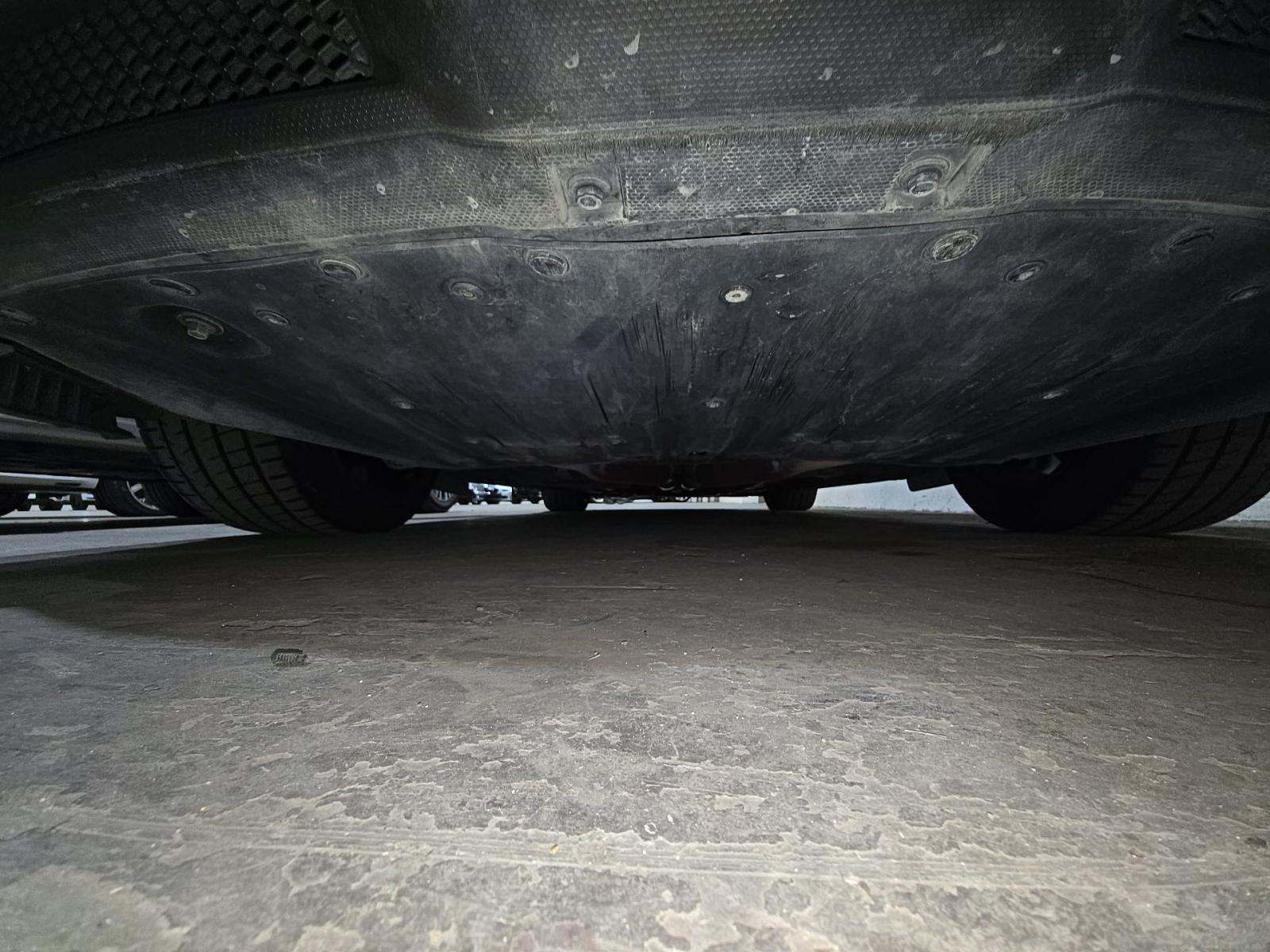 2019 Ford Mustang Shelby GT350 RWD