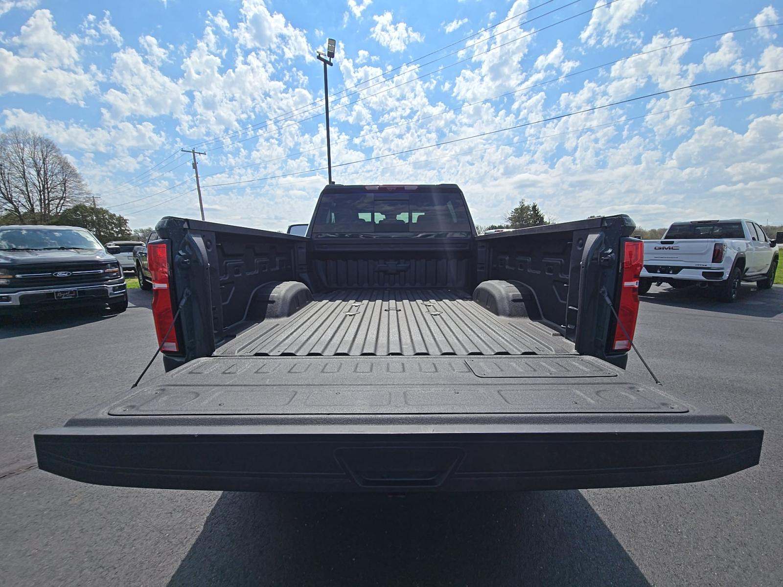 CHEVROLET SILVERADO - 10