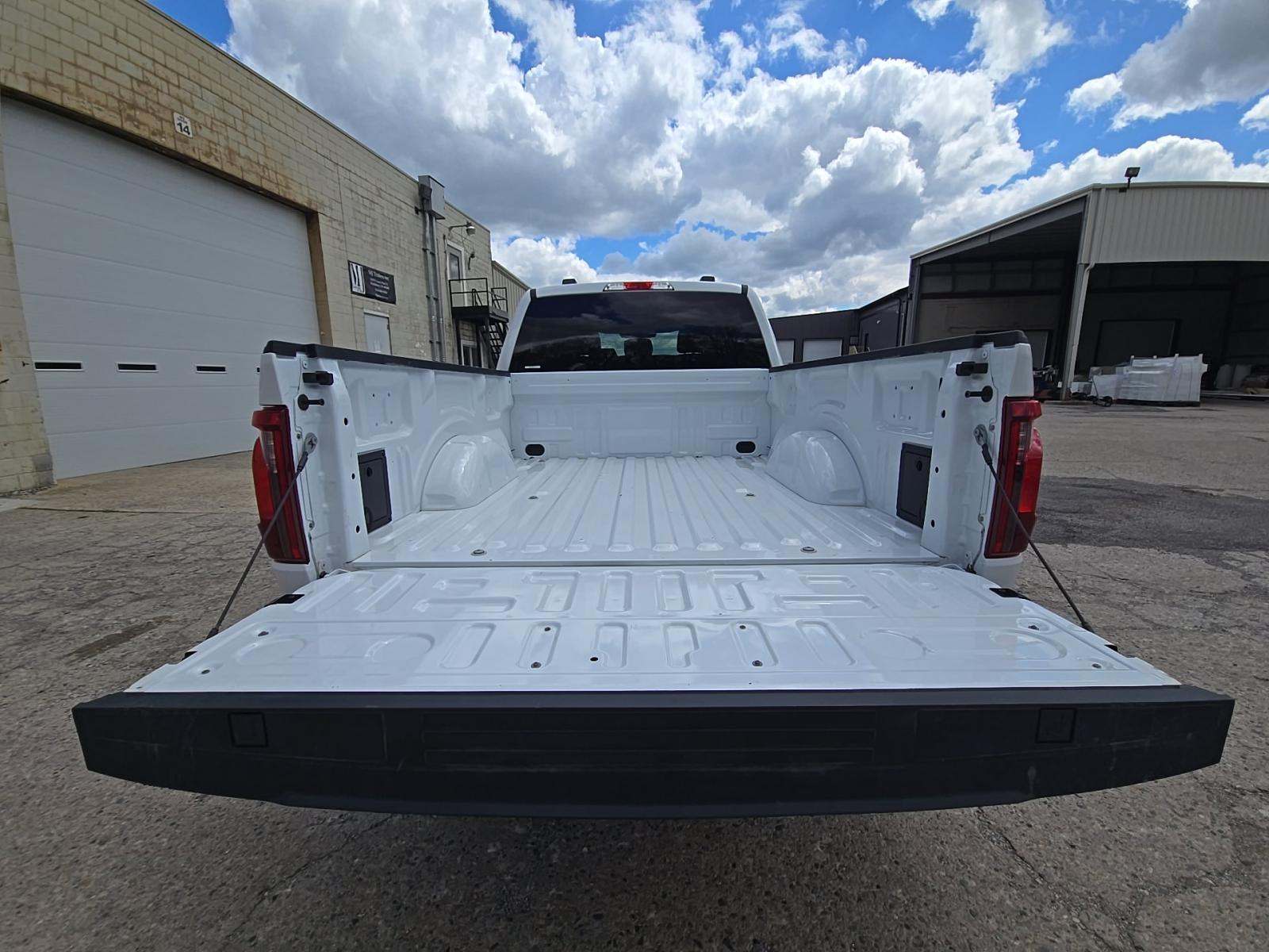 FORD F-150 - 10