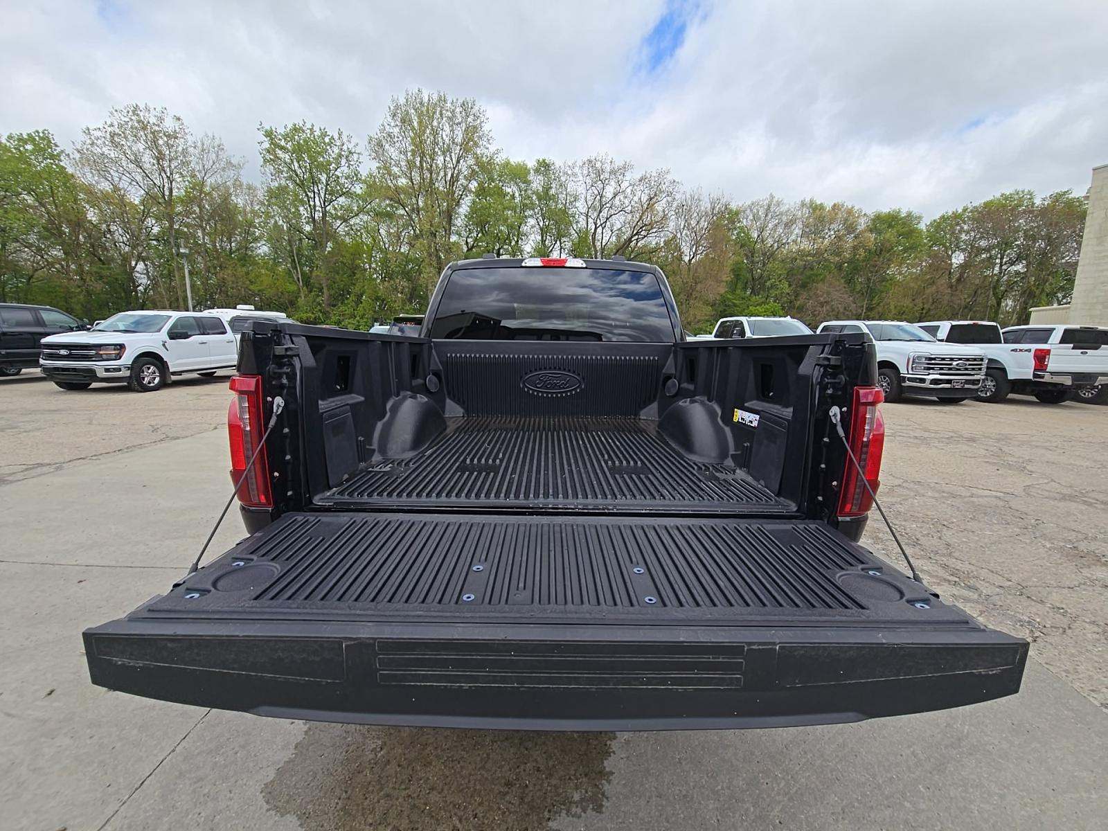 FORD F-150 - 10