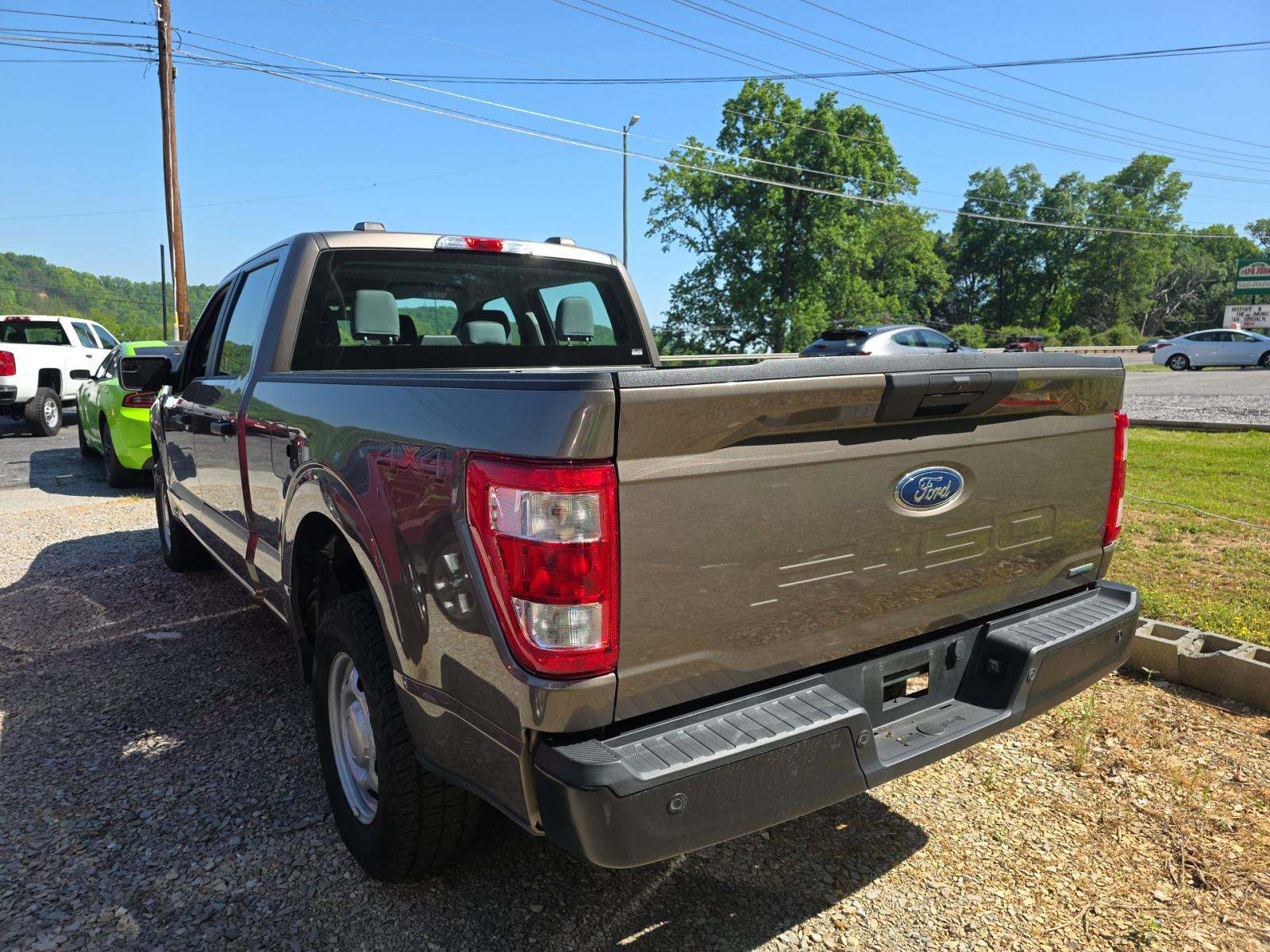 FORD F-150 - 2