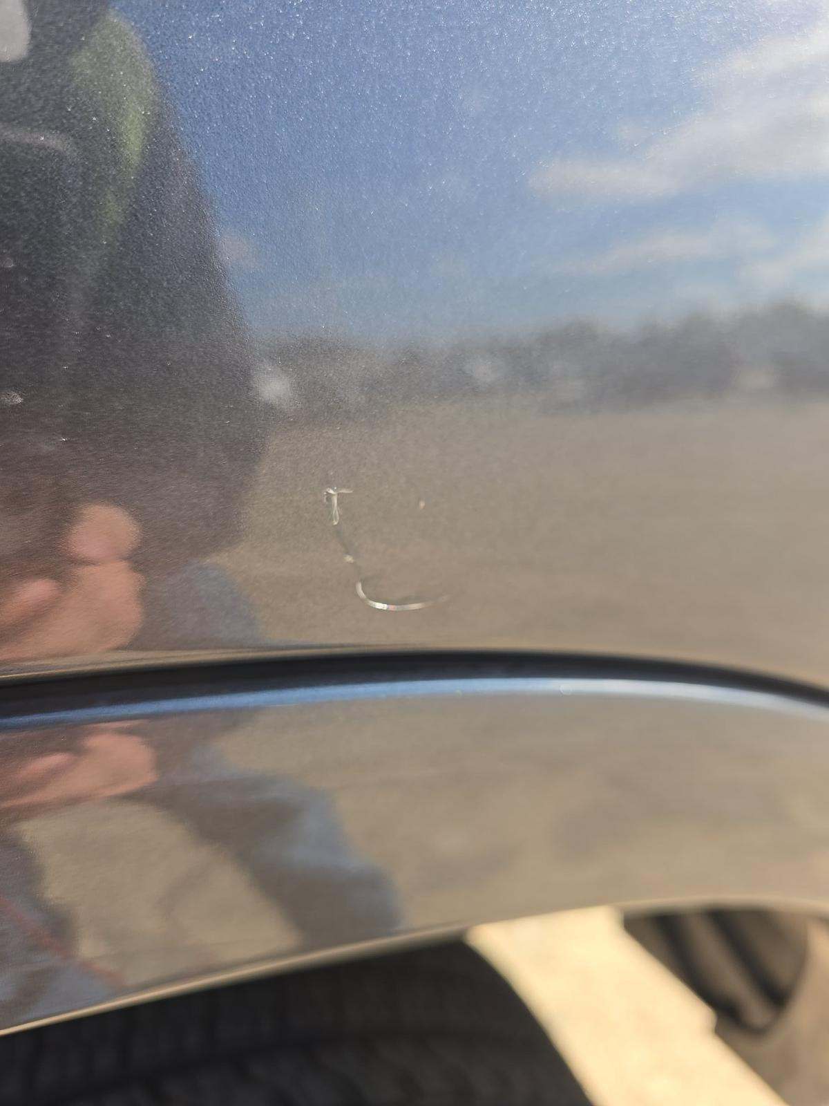 2019 Ford Ranger XLT RWD