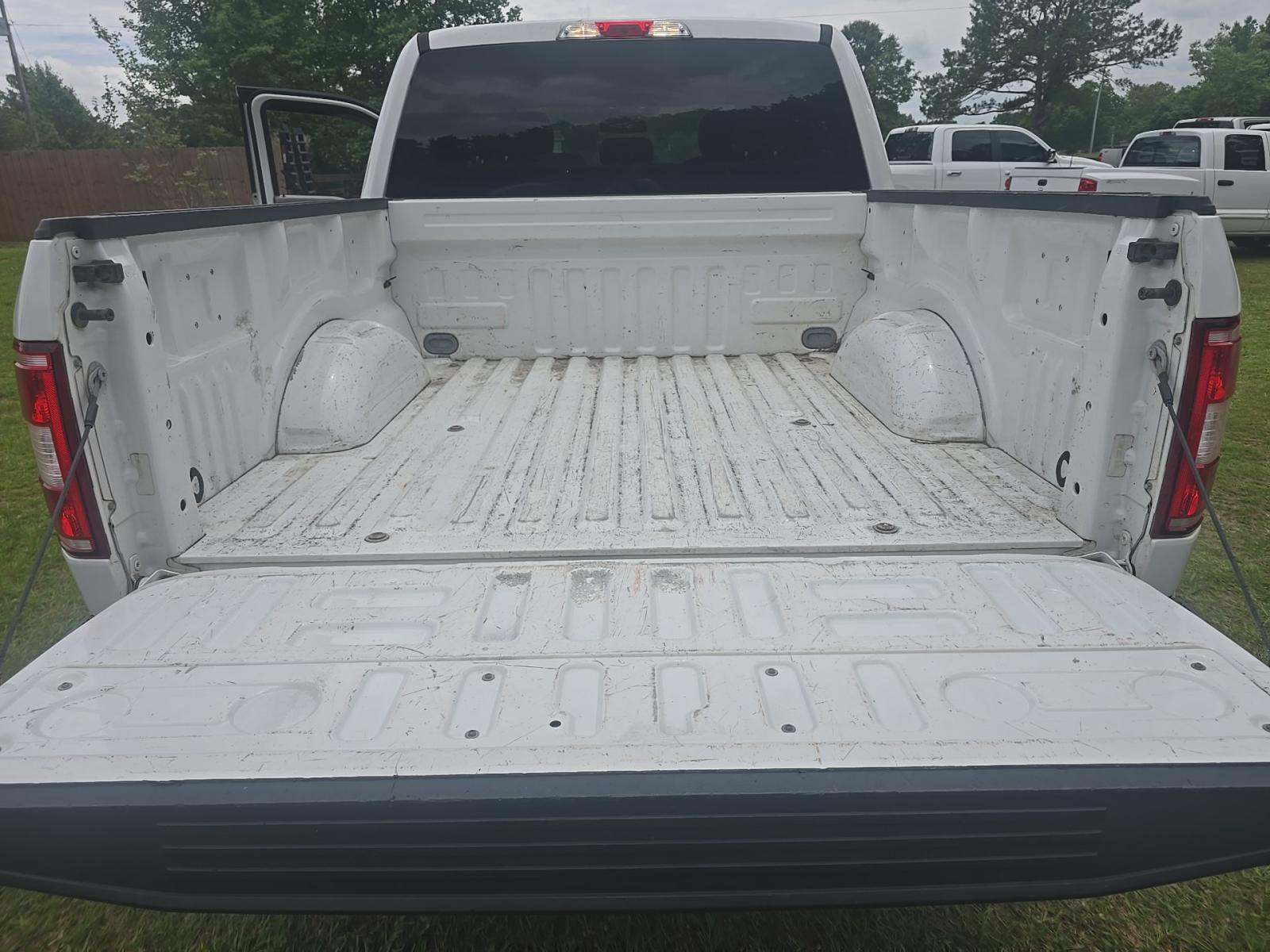 FORD F-150 - 10