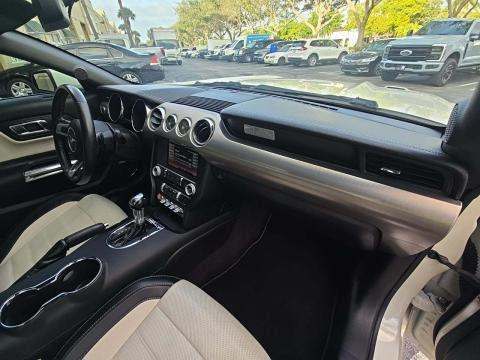 2015 Ford Mustang GT 50 Years Limited Edition RWD