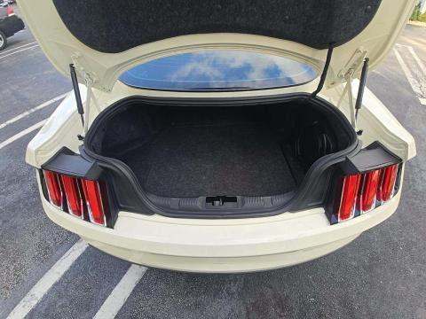 2015 Ford Mustang GT 50 Years Limited Edition RWD