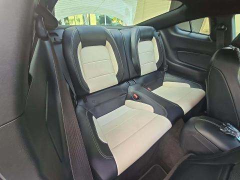 2015 Ford Mustang GT 50 Years Limited Edition RWD