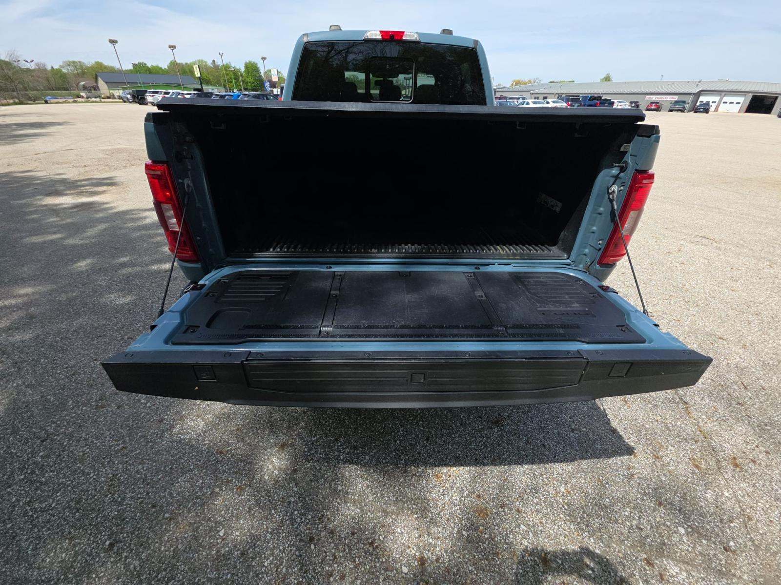 FORD F-150 - 10