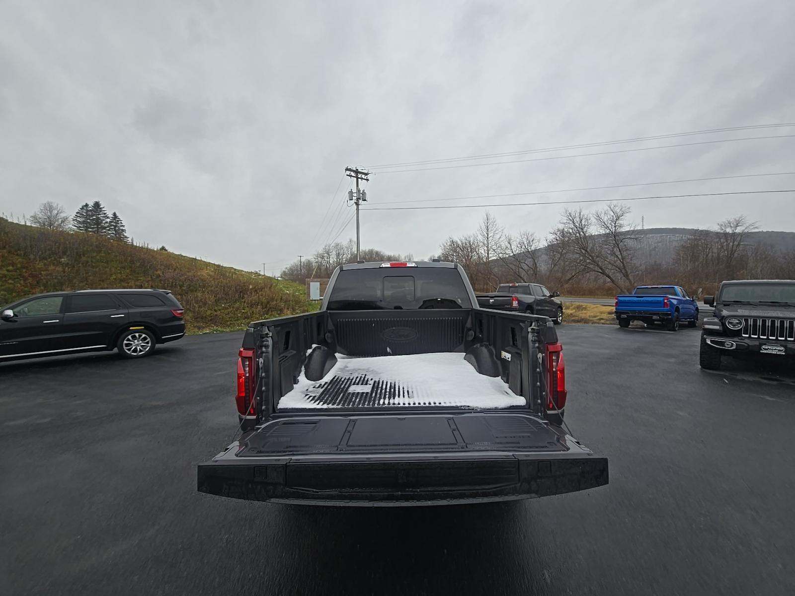 2025 Ford F-150 Tremor AWD