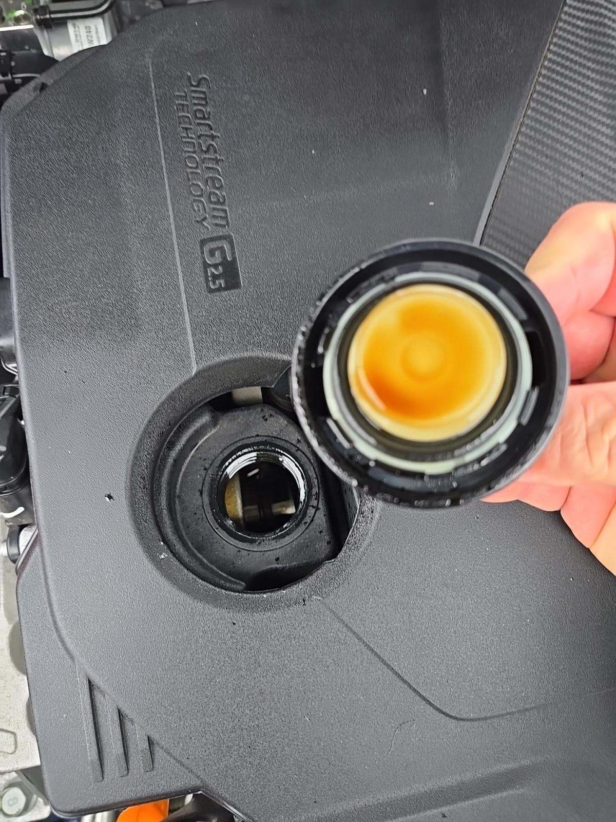 2025 Kia Sportage X-Line AWD