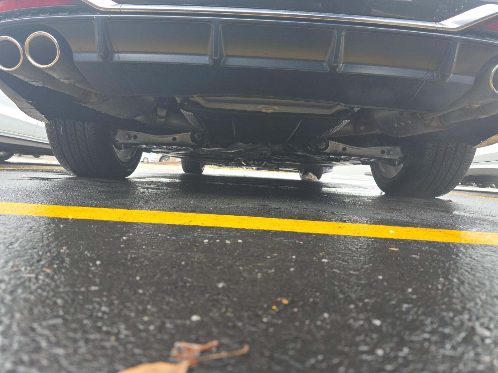 2025 Audi S5 Premium Plus AWD