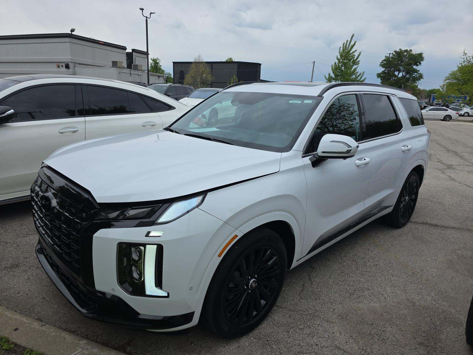 HYUNDAI PALISADE - 1