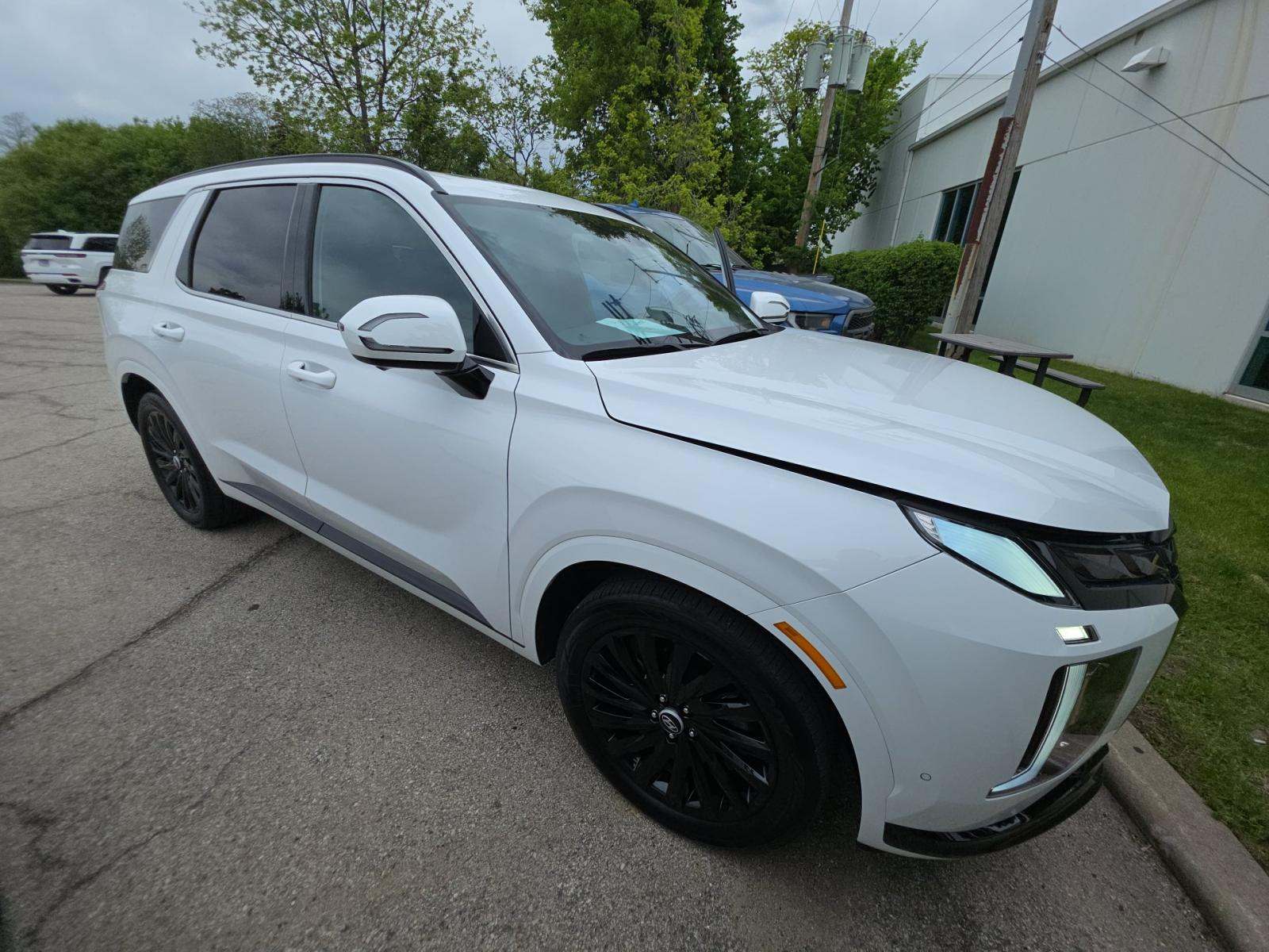 HYUNDAI PALISADE - 4