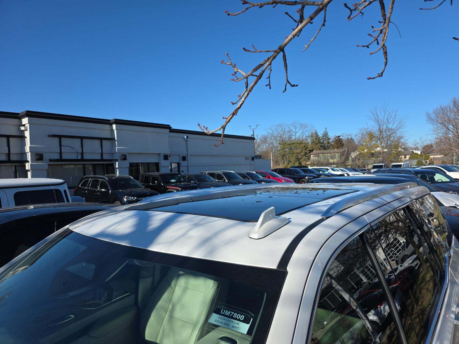 2024 Cadillac Escalade Premium Luxury Platinum AWD