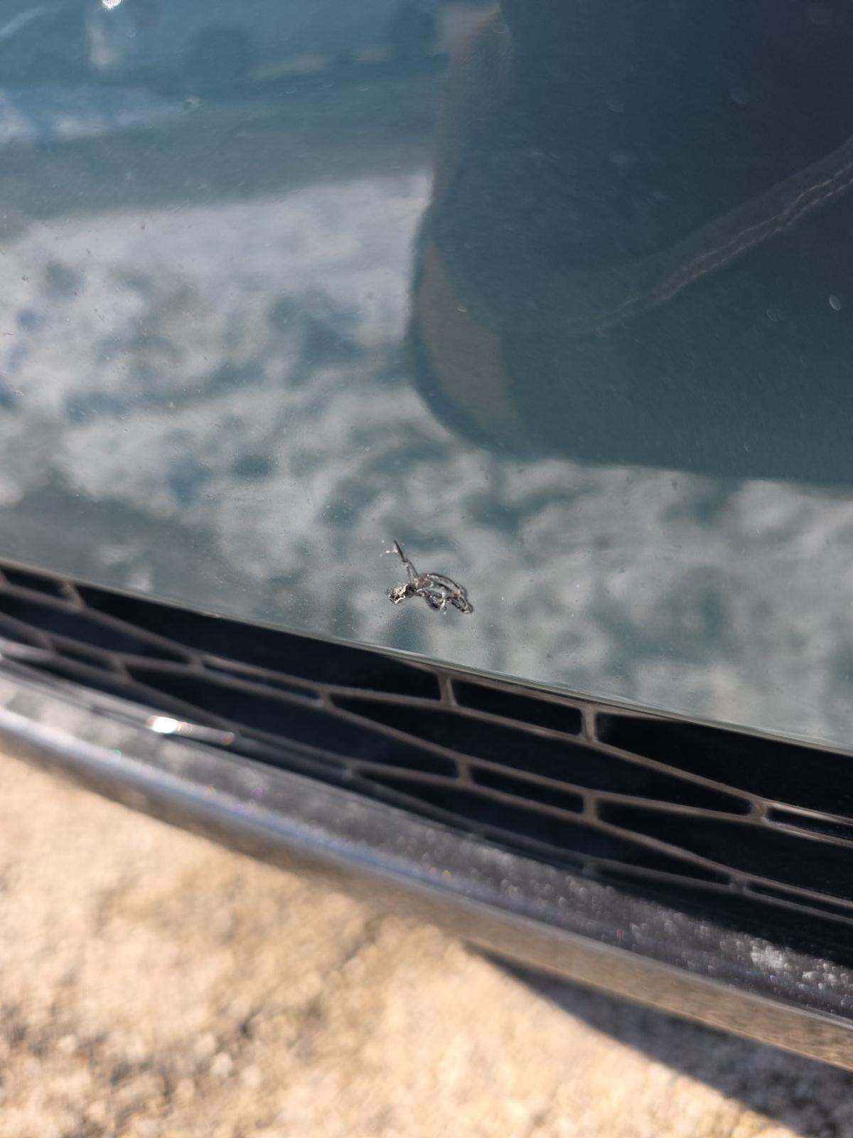 2023 Land Rover Range Rover Sport SE AWD