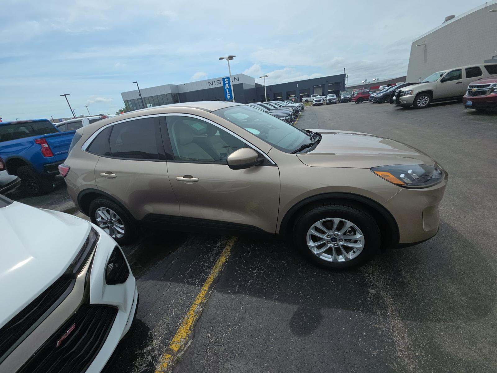 FORD ESCAPE - 4
