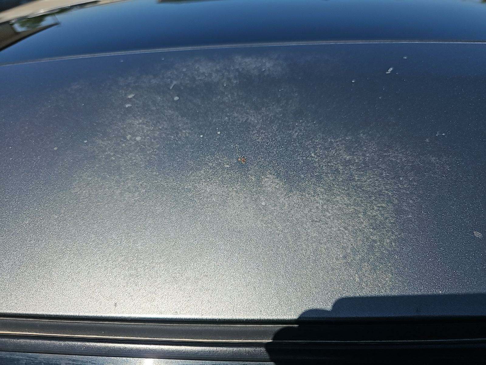 2011 Nissan JUKE SL AWD