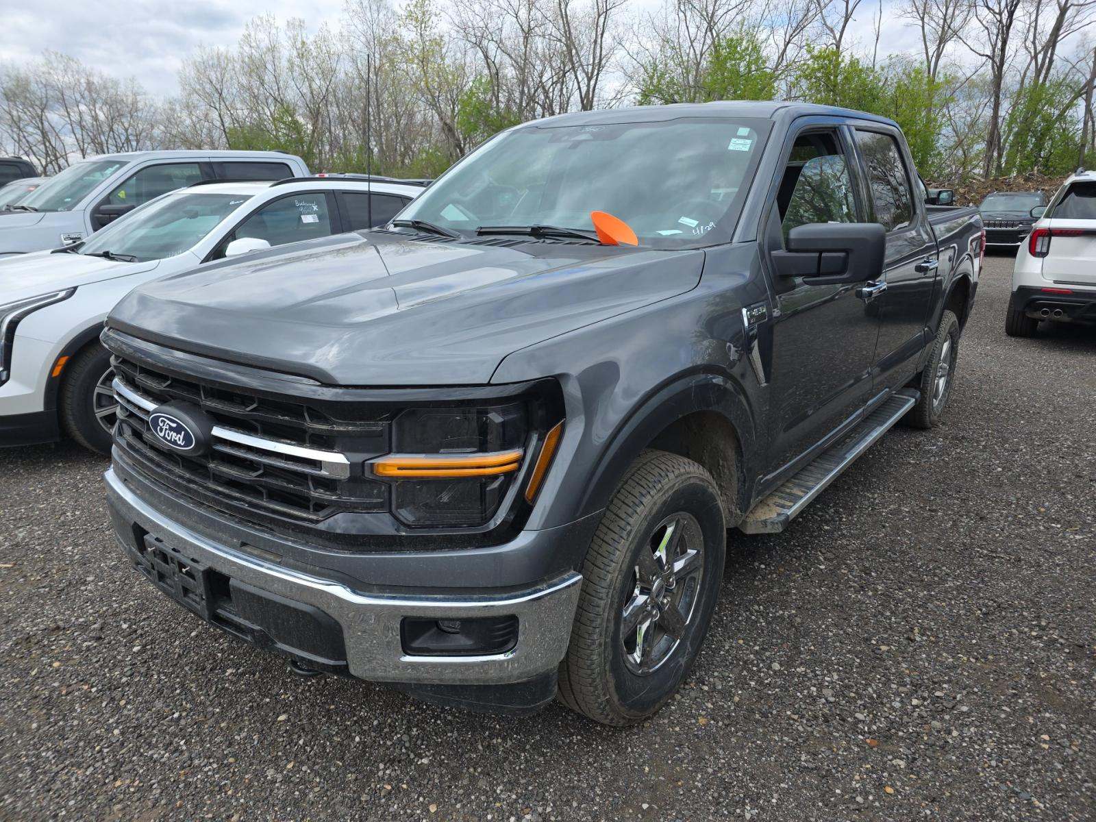 FORD F-150 - 1