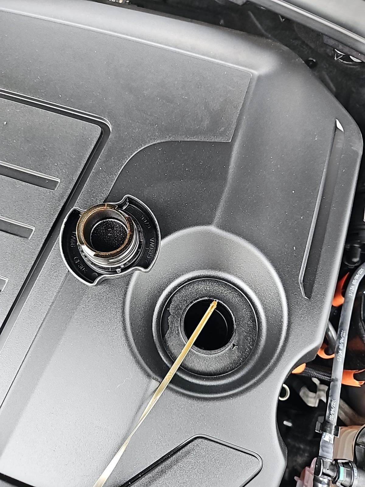 2023 Jaguar F-PACE P250 S AWD