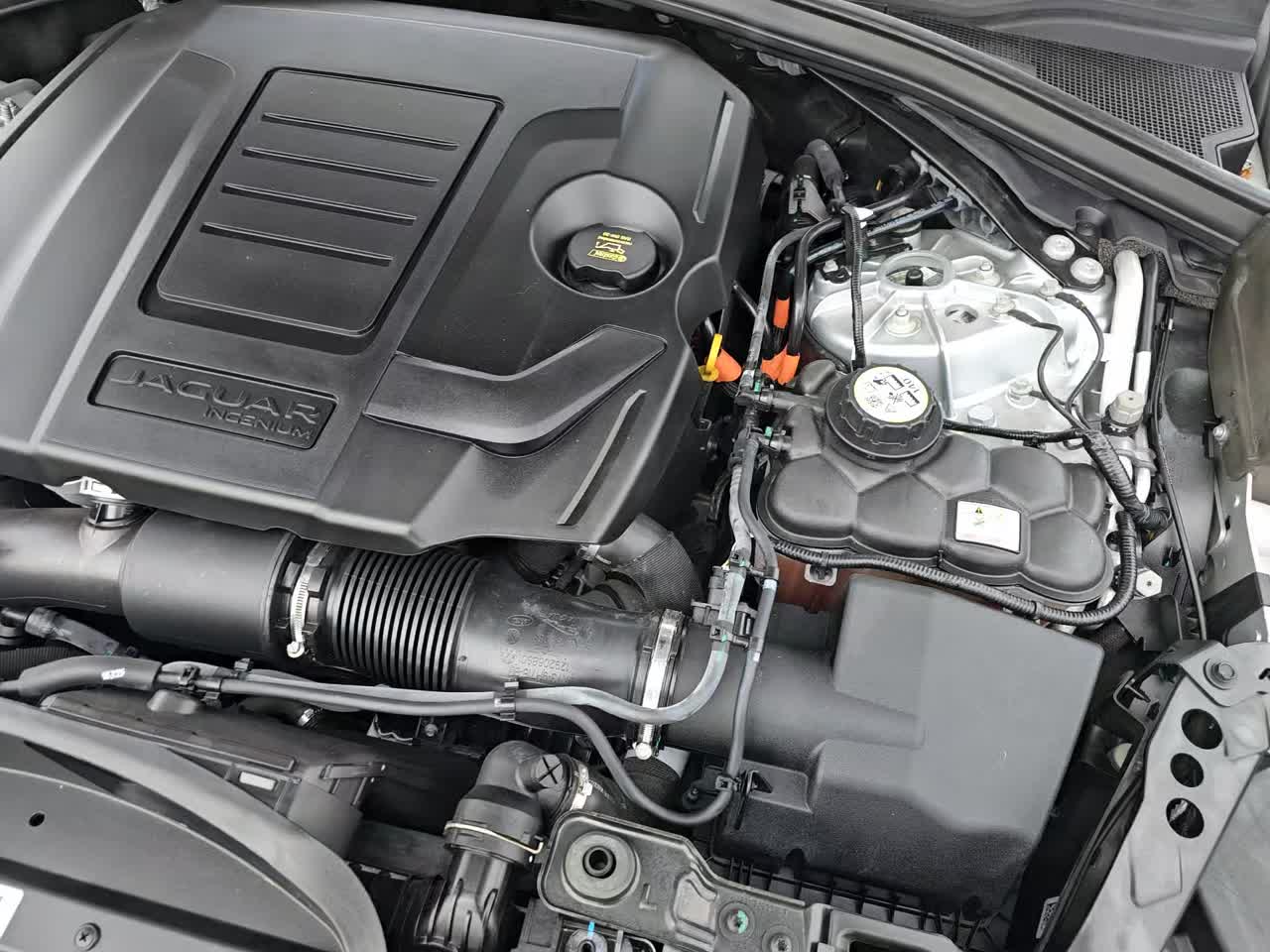 2023 Jaguar F-PACE P250 S AWD