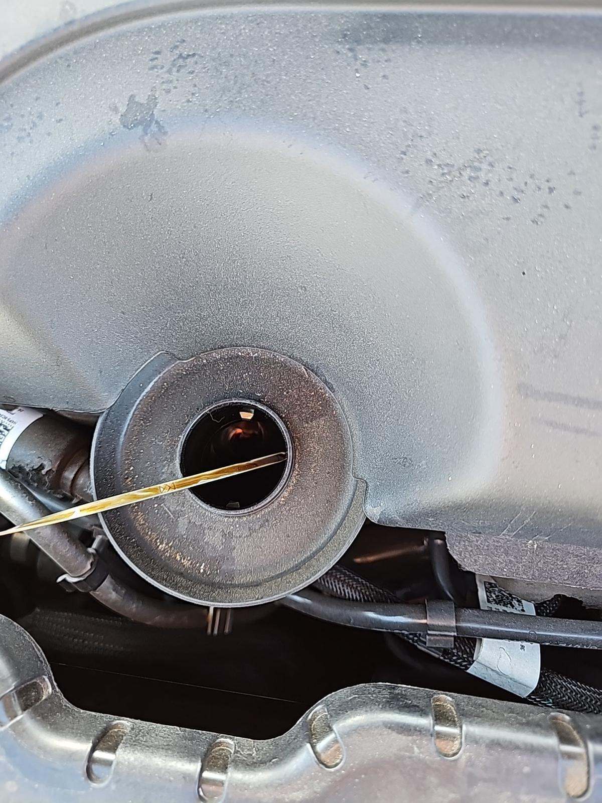 2023 Land Rover Range Rover Evoque S AWD