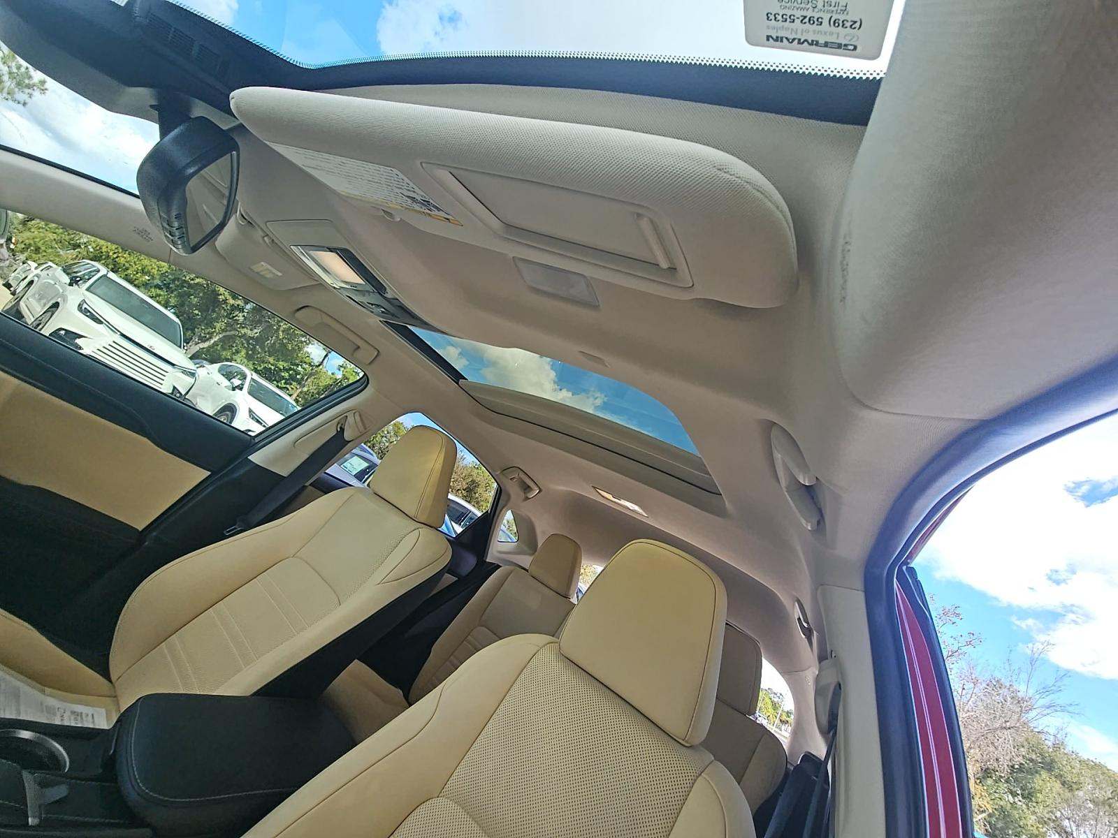 2020 Lexus NX NX 300h AWD