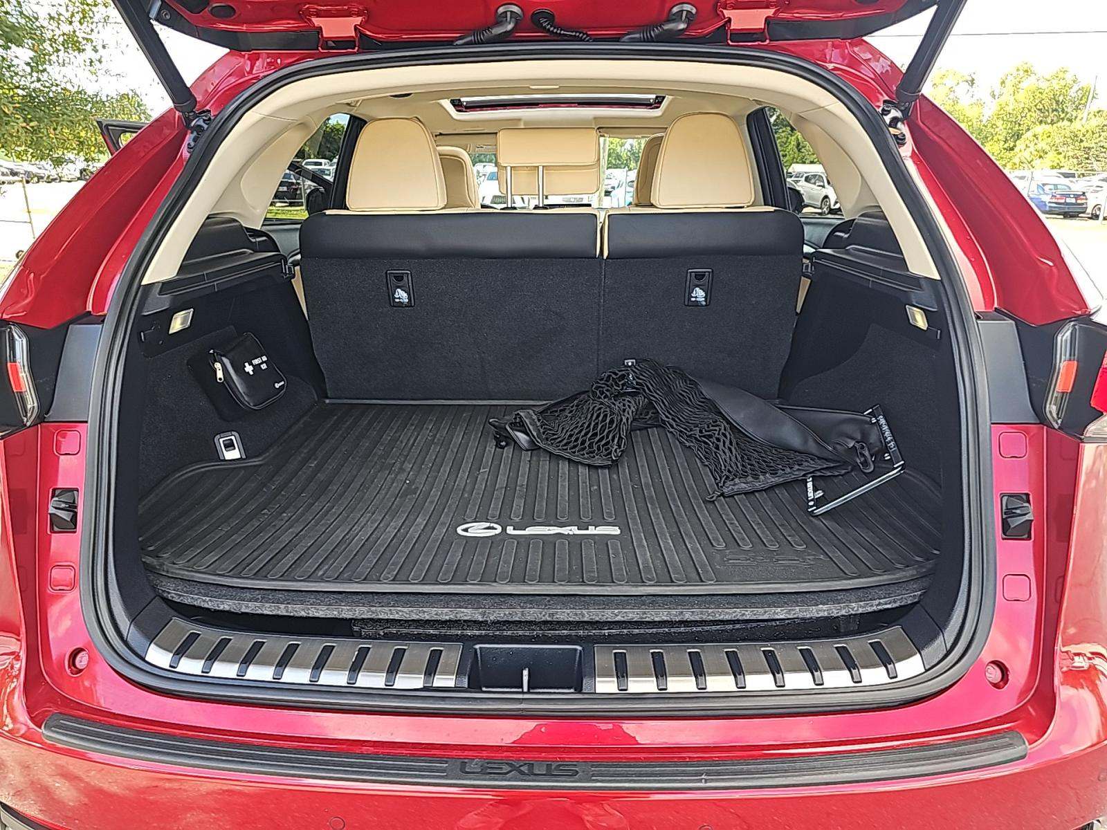 2020 Lexus NX NX 300h AWD