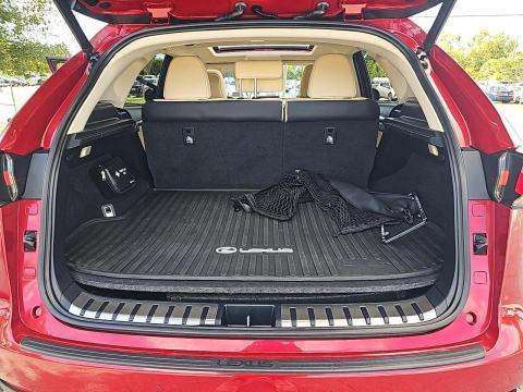 2020 Lexus NX NX 300h AWD