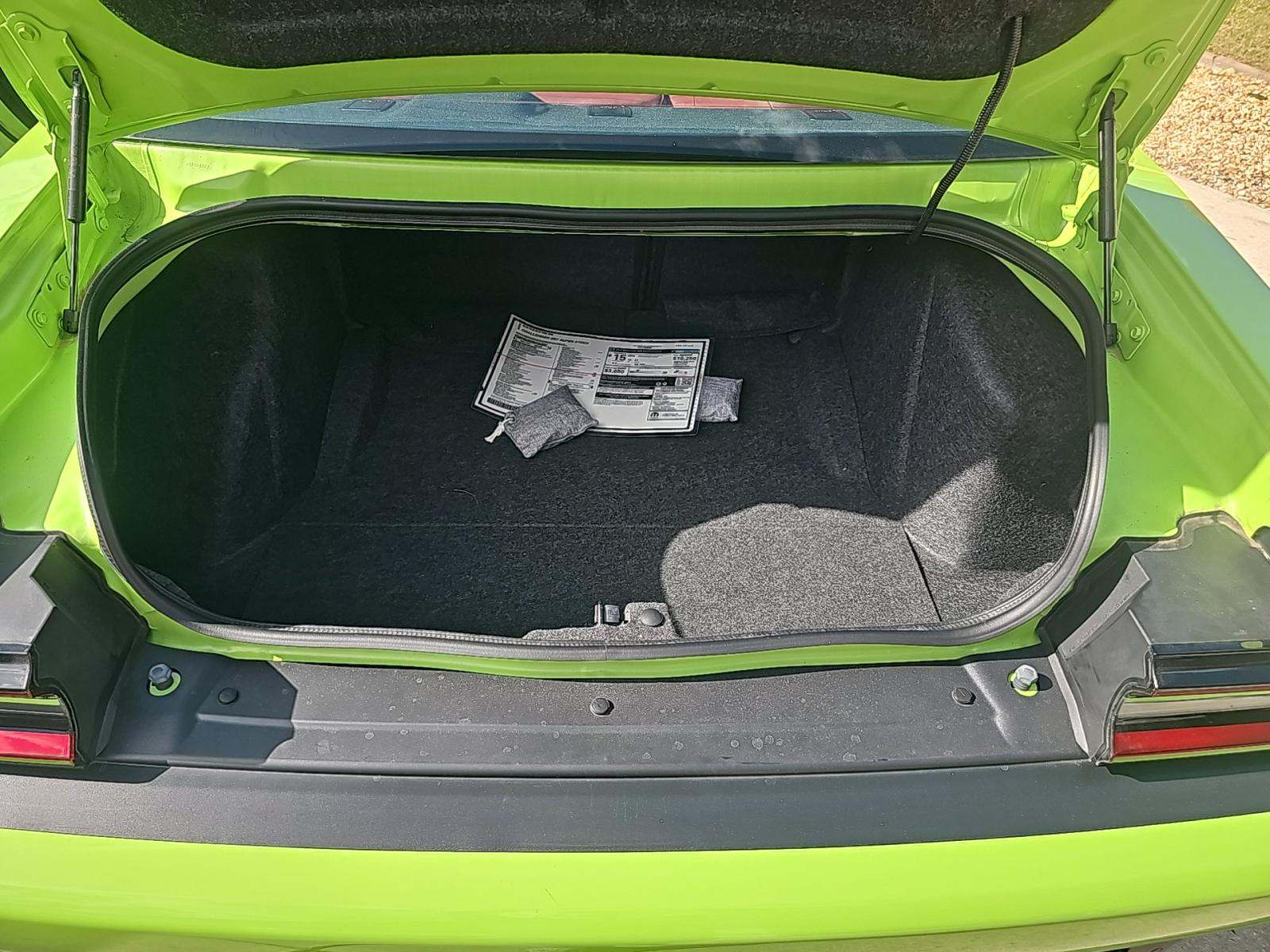 DODGE CHALLENGER - 10