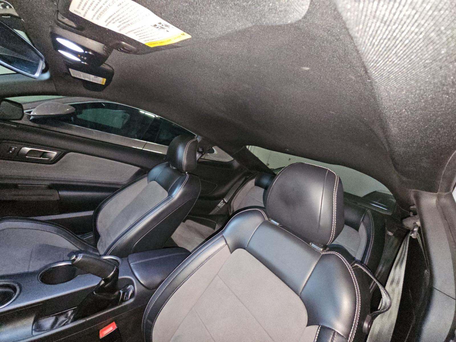 2019 Ford Mustang Shelby GT350 RWD