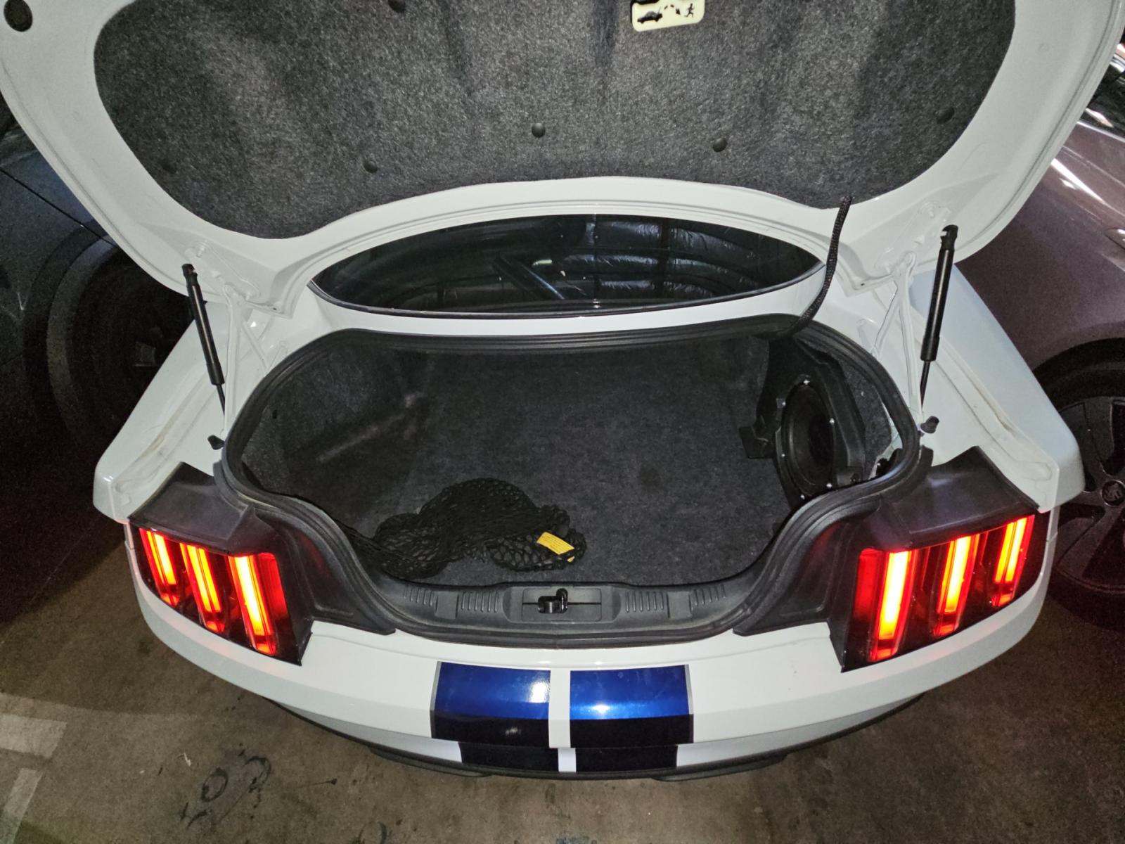 2019 Ford Mustang Shelby GT350 RWD